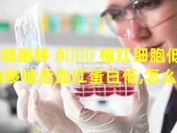 干细胞移 🐘 植红细胞低（干细胞移植后血红蛋白低,怎么补）